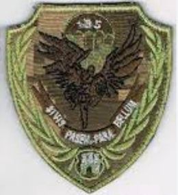 Шеврон 135 окремий батальйон керування ДШВ (піксель)