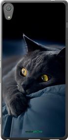 Чохол на Sony Xperia XA Ultra Dual F3212 Димчастий кіт "825t-391-2448"