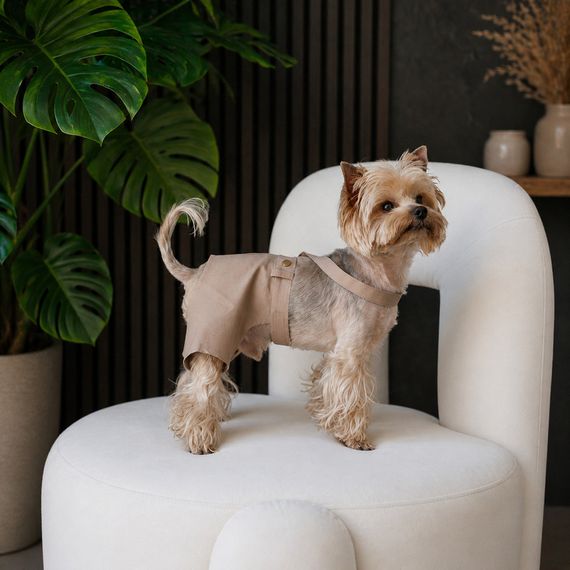 Шорти Pet Fashion Leo для собак XS | Зображення 2