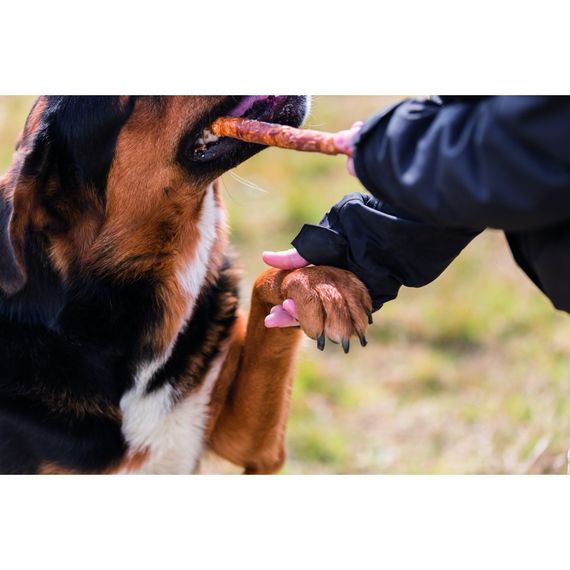 Ласощі Trixie Denta Fun Chewing Rolls для собак Паличка для чищення зубів з качкою 28 см 250 г 3 шт | Зображення 2