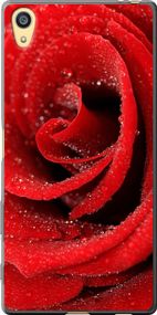 Чехол на Sony Xperia Z5 E6633 Красная роза "529u-274-17620"