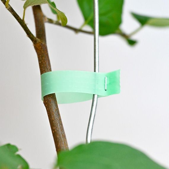 Скоби для садового підв'язувального степлера 10000 шт, 6х4 мм, 604С / Упаковка скоб для тапенера | Зображення 1