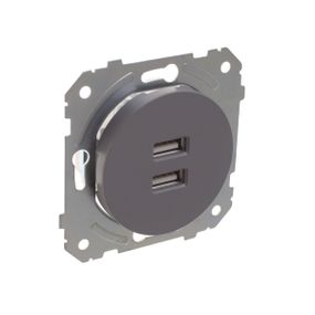 Розетка серая WB-2USB Grey