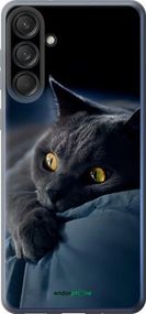 Чохол на Samsung Galaxy M55 Димчастий кіт "825u-3688-2448"