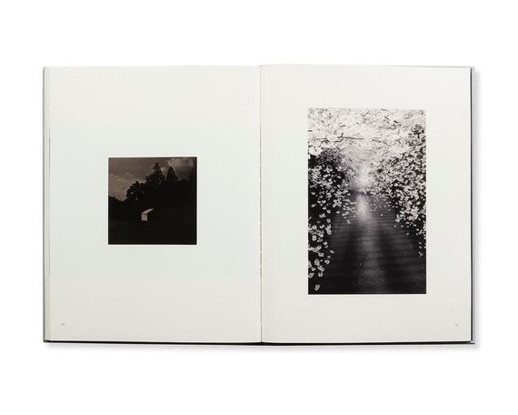Легендарные фотографы современности книга фотографий Масао Ямамото Masao Yamamoto: Small Things in Silence | Зображення 4