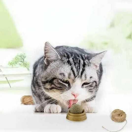 Кошачья игрушка для кошек мятный шарик кошачий леденец | Зображення 3