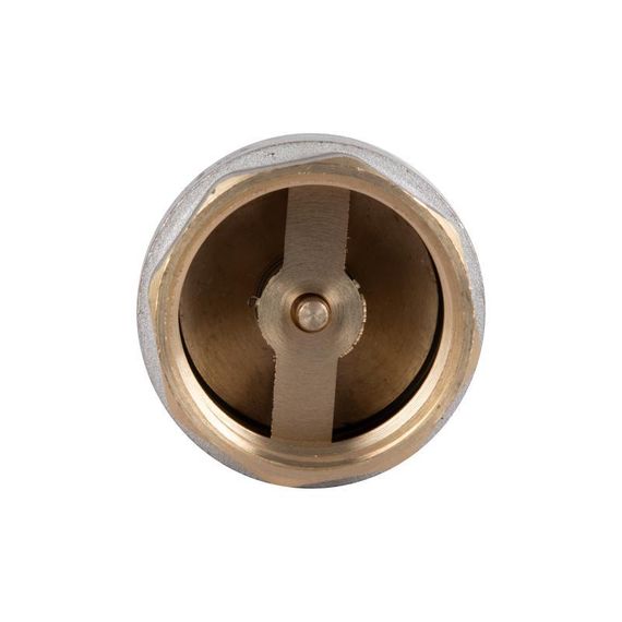 Зворотний клапан Thermo Alliance Standart 1 1/4" ВВ з латунним штоком TAS240W32 | Зображення 4