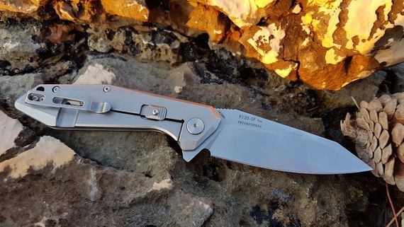 Ніж складний Ruike P135-SF | Зображення 9