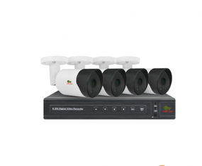 Комплект IP видеонаблюдения Partizan IP-25 4xCAM  1xNVR
