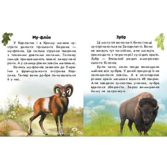 Читаю про Україну по складах "Тварини гір" 366021 з кольоровими ілюстраціями | Зображення 2
