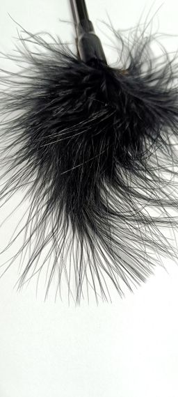 Щіткалка з пір'ям «Love tickler», колір чорний sexstyle | Зображення 1