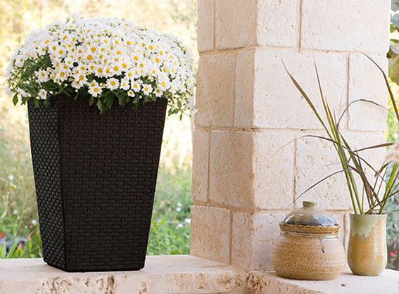 Горшок для цветов (кашпо) Keter (Кетер) Rattan Style Planter L (17192302) Коричневый