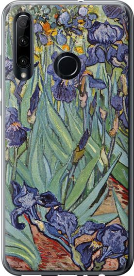 Чехол на Huawei Honor 10i Винсент Ван Гог. Ирисы "161u-1673-17620"