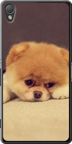 Чехол на Sony Xperia Z3 D6603 Boo 2 "890u-58-17620"