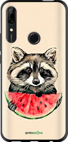 Чохол на Huawei Y9 Prime 2019 Єнотик з кавуном "4605b-1736-2448"