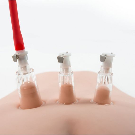 Вакуумна помпа для вагіни та сосків BlushTEMPTASIA CLITORIS PLEASURE SYSTEM | Зображення 4