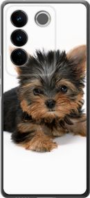 Чехол на Vivo S16 Pro Щенок йоркширского терьера "931u-3123-17620"