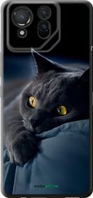 Чохол на Asus ROG Phone 8 Димчастий кіт "825u-3696-2448"