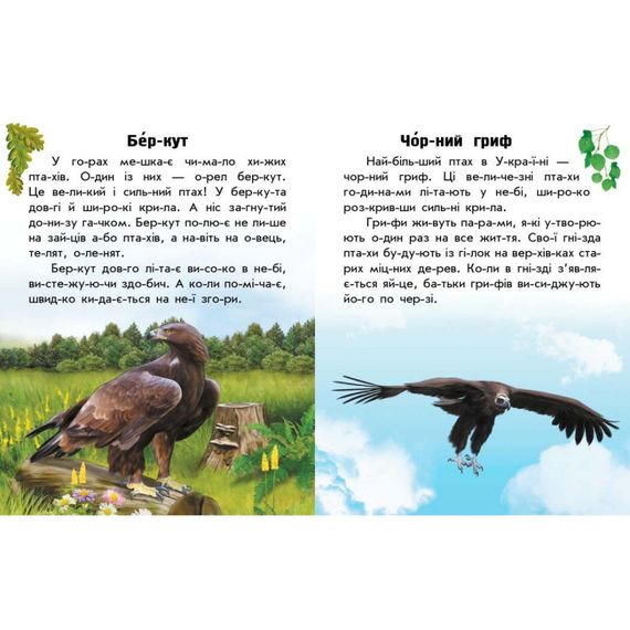 Читаю про Украину по слогам "Животные гор" 366021 с цветными иллюстрациями | Зображення 3