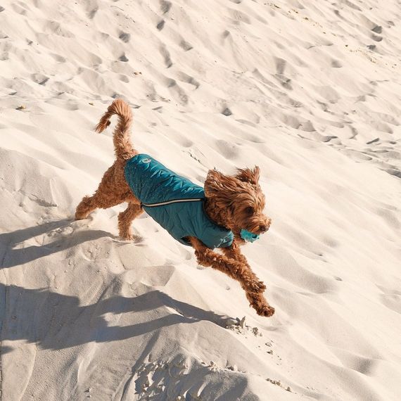Жилет Pet Fashion E.Vest для собак морська хвиля L | Зображення 3