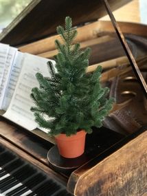 Ёлка Traditional литая в горшке 50 см зелёная новинка