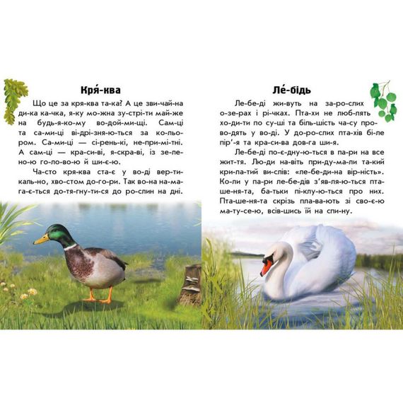 Читаю про Украину по слогам "Животные рек и морей" 366024 с цветными иллюстрациями | Зображення 3