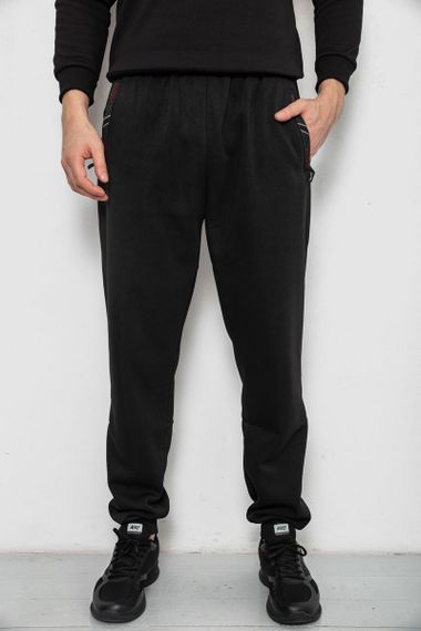 Спортивные штаны мужские на флисе, цвет черный, 244R41748