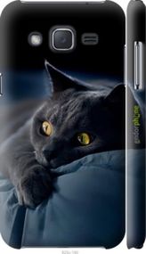 Чохол на Samsung Galaxy J2 J200H Димчастий кіт "825m-190-2448"