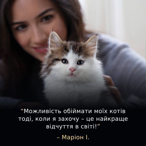 Сухий корм для кошенят з індичкою Purina Pro Plan LiveClear Kitten 1.4 кг | Зображення 2