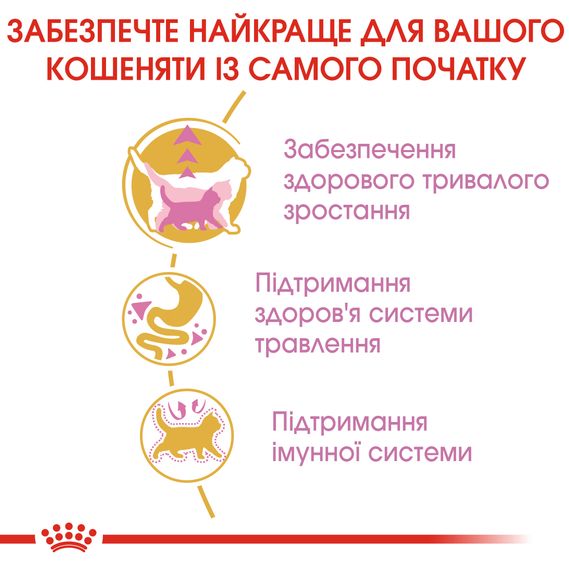 Сухий корм для кошенят породи мейн-кун до 15 місяців Royal Canin Maine Coon Kitten 2 кг | Зображення 2