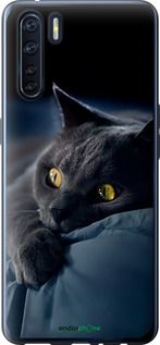 Чохол на Oppo A91 Димчастий кіт "825u-1884-2448"