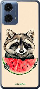 Чохол на Motorola Moto G24 Power Єнотик з кавуном "4605u-3665-2448"