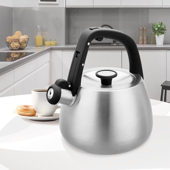 Чайник зі свистком Maestro MR-1318-OLD 2.5 л сріблястий