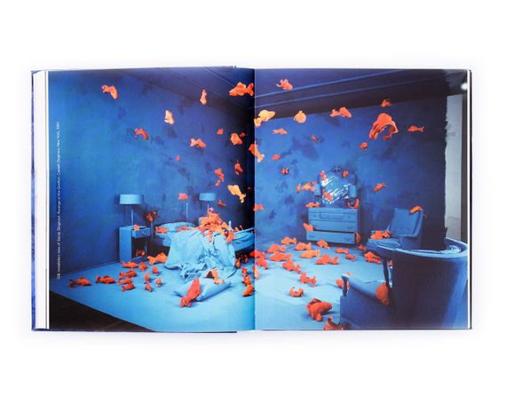 Книги о фотографах Сэнди Скогланд Sandy Skoglund: Hybrid Visions подарочная книга для фотографов о фотографии | Зображення 1