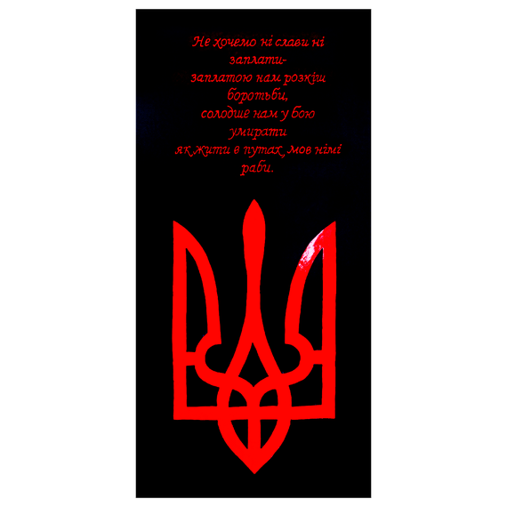 Металокерамічний дизайн-обігрівач UDEN-700 "Воля"