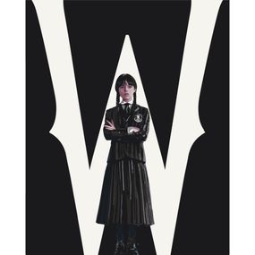 Картина по номерам "Венздей" 40х50 см 10405-AC Art Craft