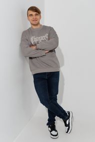 Світшот з принтом чоловічий YI HAN 3A050 А24023МР XL Сірий shop (2000990874443)