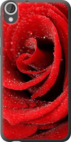Чехол на HTC Desire 820 Красная роза "529u-133-17620"