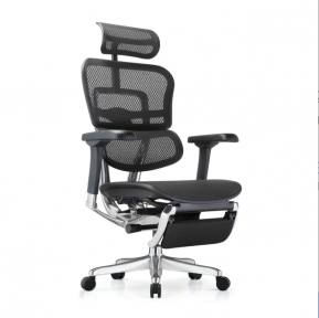Кресло компьютерное ERGOHUMAN ELITE 2 Legrest (EHE2-AB-HAM-5D-LLM) BLACK