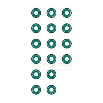 Сальники клапанов компл. Mercedes Benz Sprinter OM642, Victor Reinz, 12-31306-01,