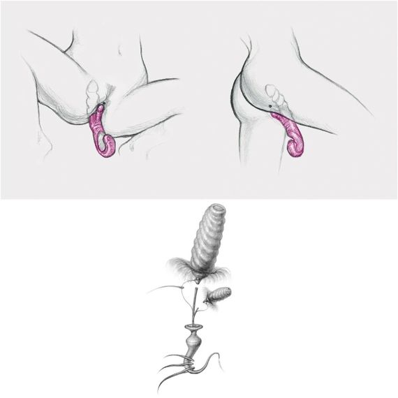 Вибратор кролик рельефный Gcandy sexstyle | Зображення 7