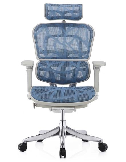 Кресло компьютерное ERGOHUMAN Plus Luxury (EHPL-AG-HAM-ZB5) Blue | Зображення 6