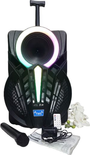 Акустична система з високою потужністю 300 Вт XPRO GZ-W1312 12 (MER-15680_2762)
