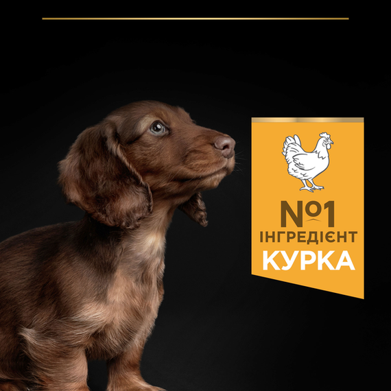 Сухий корм для собак Purina PRO PLAN Small & Mini Puppy Healthy Start для цуценят дрібних порід з куркою 700г | Зображення 2