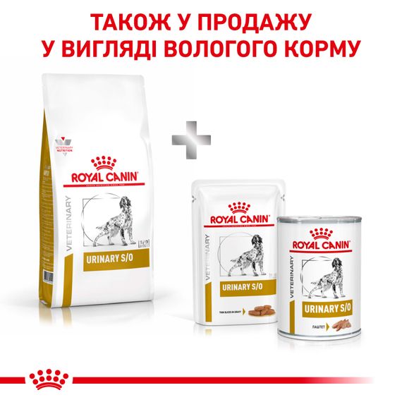 Сухий корм Royal Canin Urinary S/O при сечокам'яній хворобі у собак. 13 кг | Зображення 5