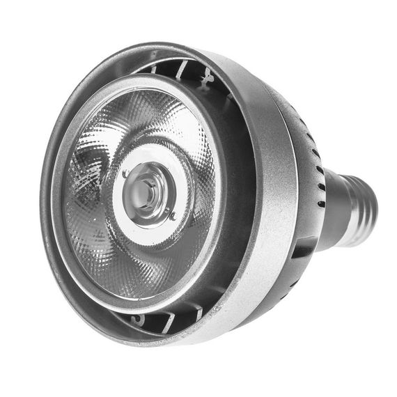 Лампа світлодіодна LED E27 30W COB NW PAR30 220V