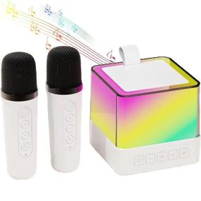 Портативна караоке система з двома мікрофонами Bluetooth акустична колонка для дому та вечірок White DB-95