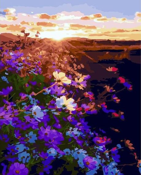 Восход солнца на цветочном поле