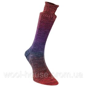 Шкарпеткова пряжа Laines du Nord Watercolor Sock, 105
