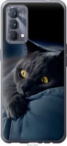 Чехол на Realme GT Master Дымчатый кот "825u-2852-17620"